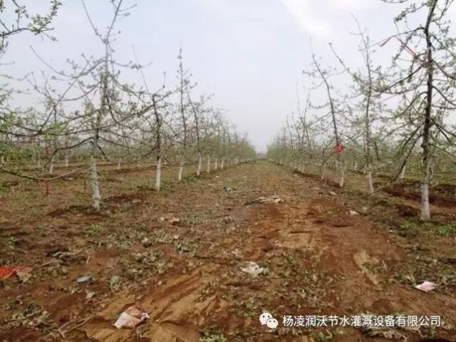 陜西滴灌管 陜西滴灌管