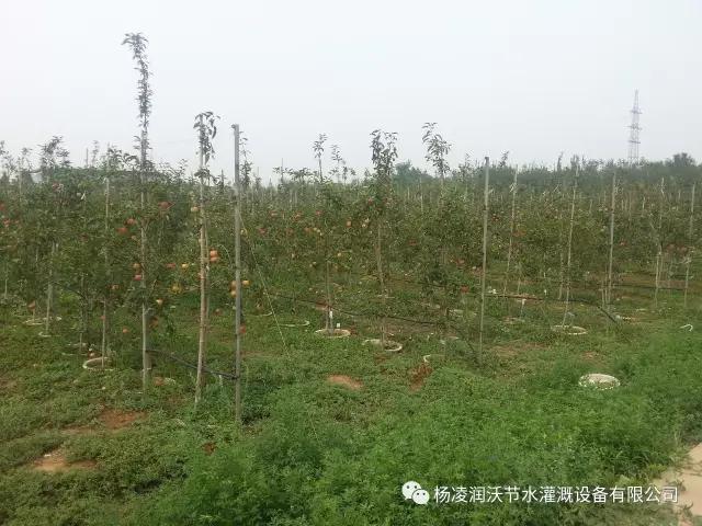 陜西滴灌管價(jià)格 陜西滴灌管價(jià)格